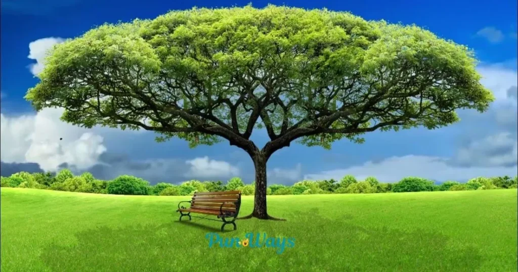 Tree Puns For Kids