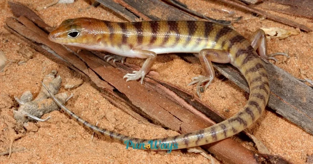 Unique Lizard Pun Ideas