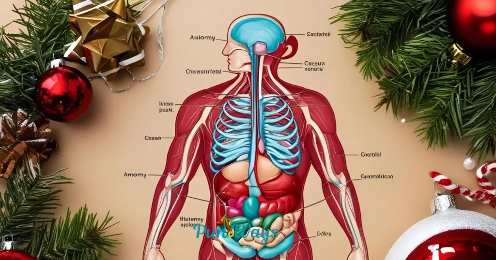 Anatomy Puns Christmas