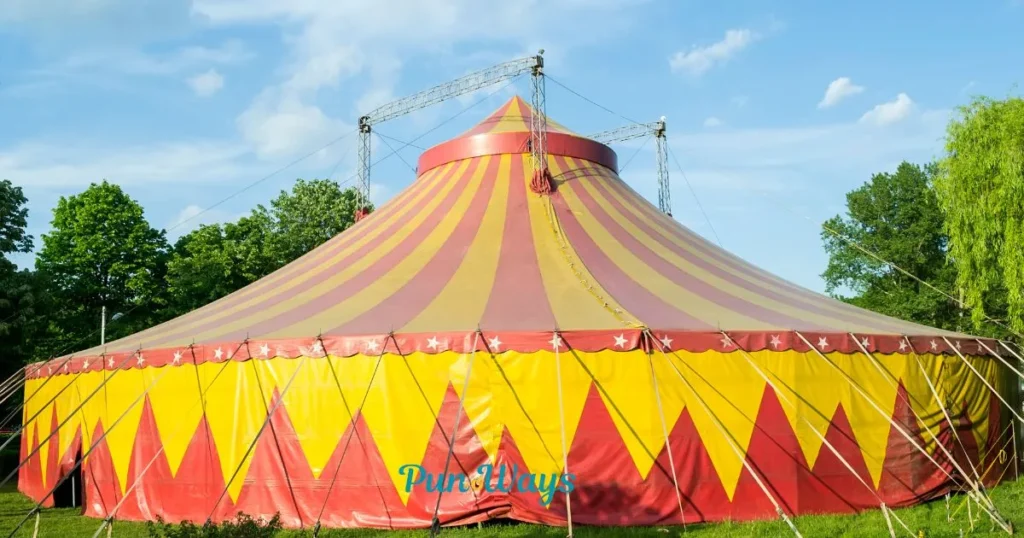 Circus Jokes And Puns For Kids