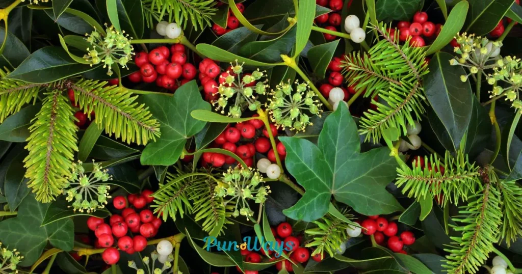 Clever Mistletoe Puns – Best Picks