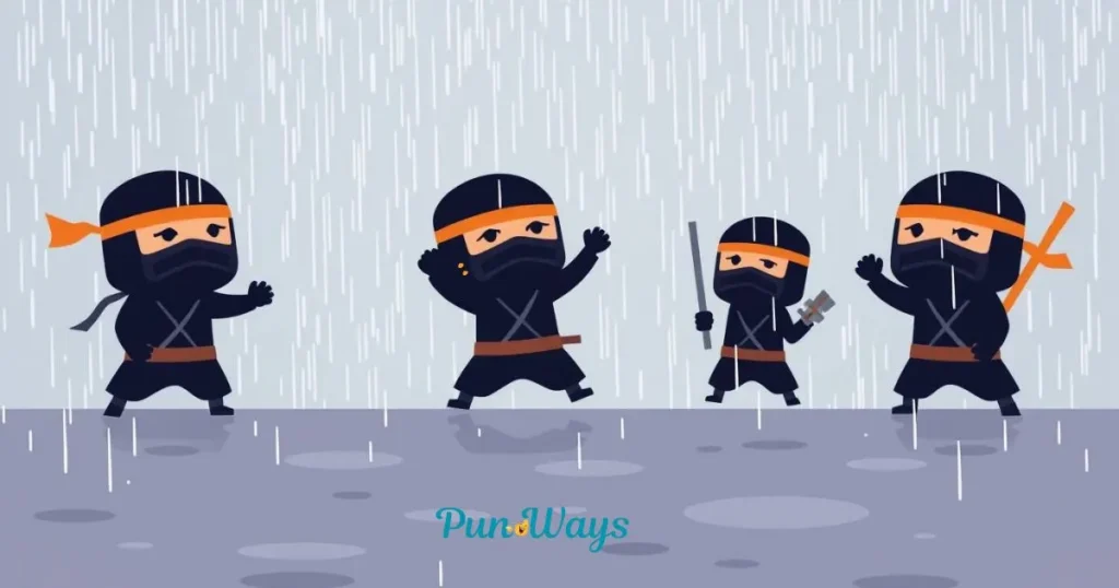 Ninja Puns & Jokes