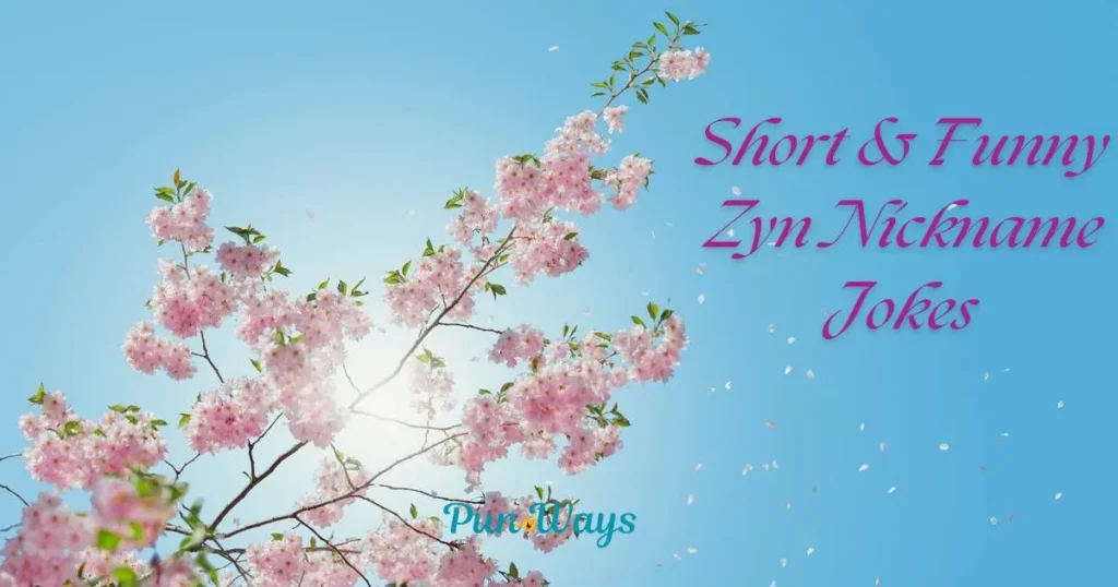 Short And Funny Zyn Nickname Jokes