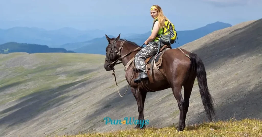Funny Rodeo One Liner Jokes