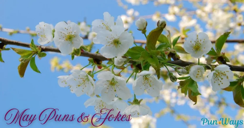 May Puns And Jokes