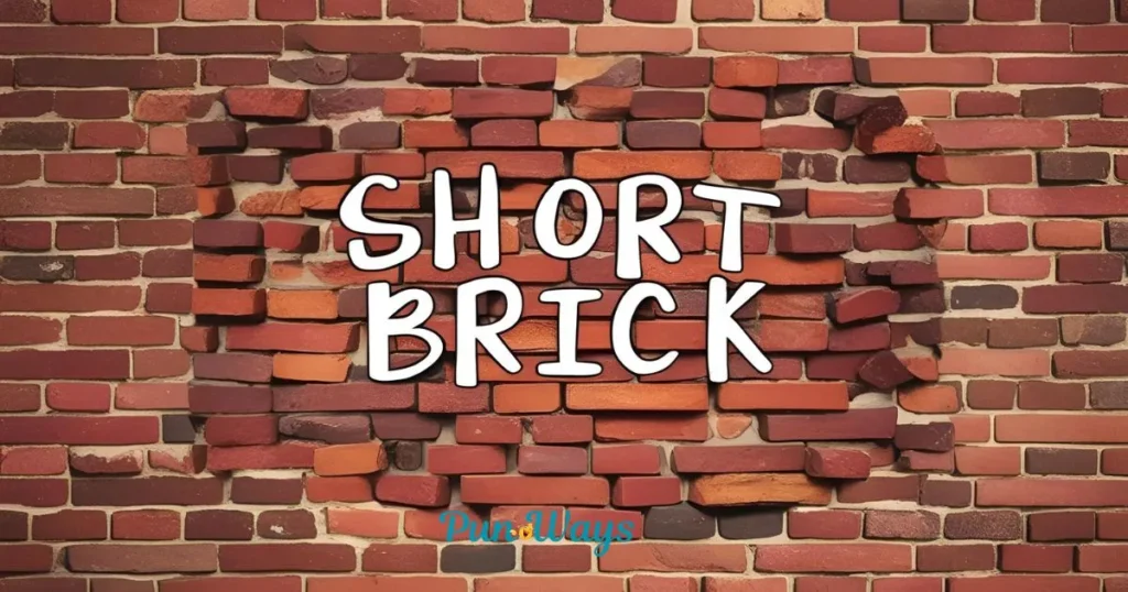 Short Brick Puns