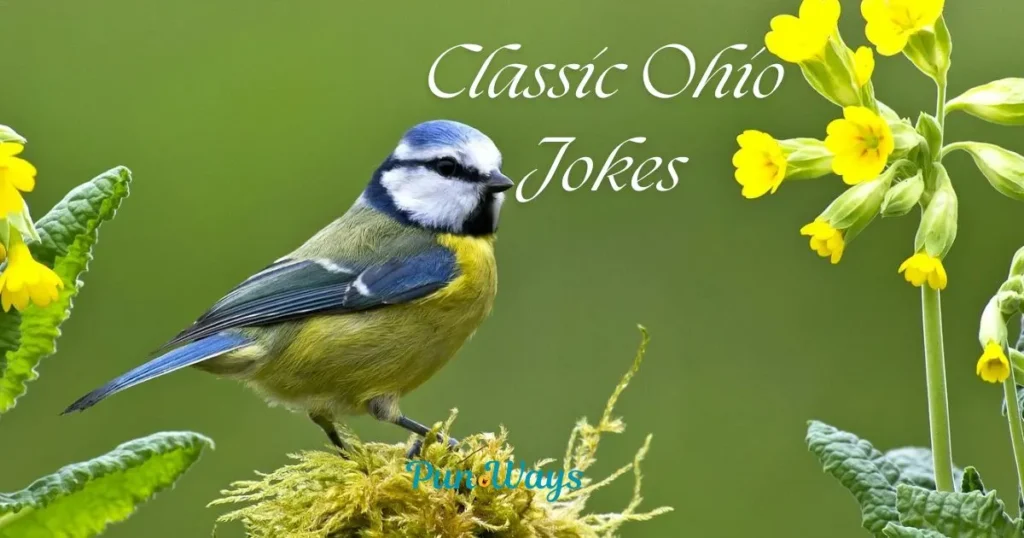 Classic Ohio Jokes