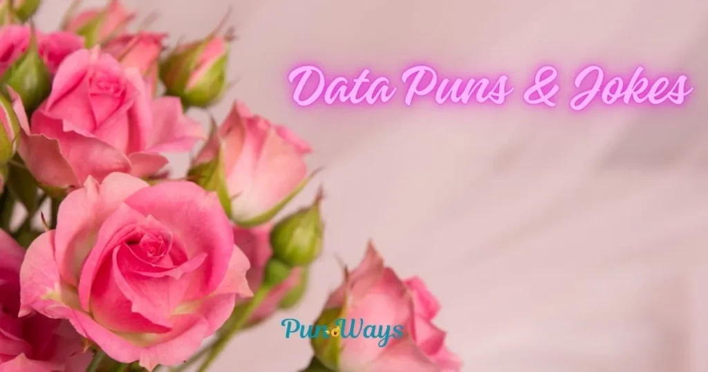 Data Puns