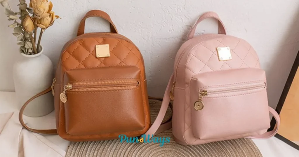Funny And Best Bag Puns
