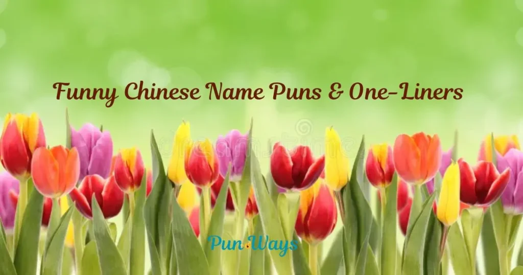 Funny Chinese Name Puns And One Liners