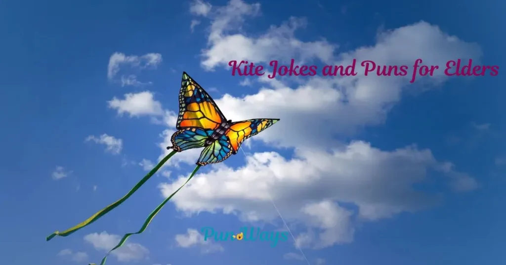 Kite Jokes And Puns For Elders
