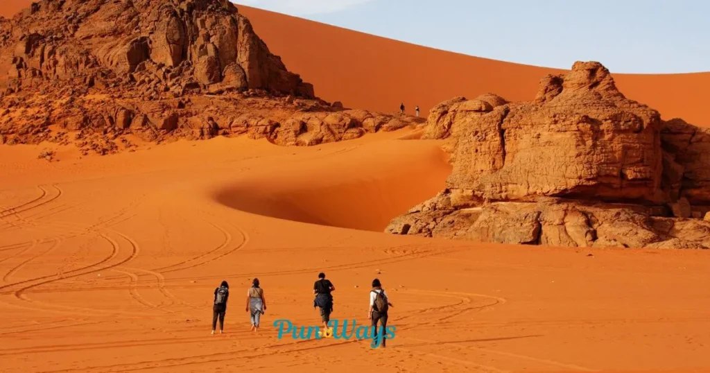 Sand Dune Puns For Instagram