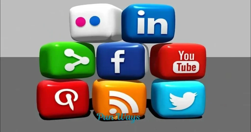 Social Media Puns