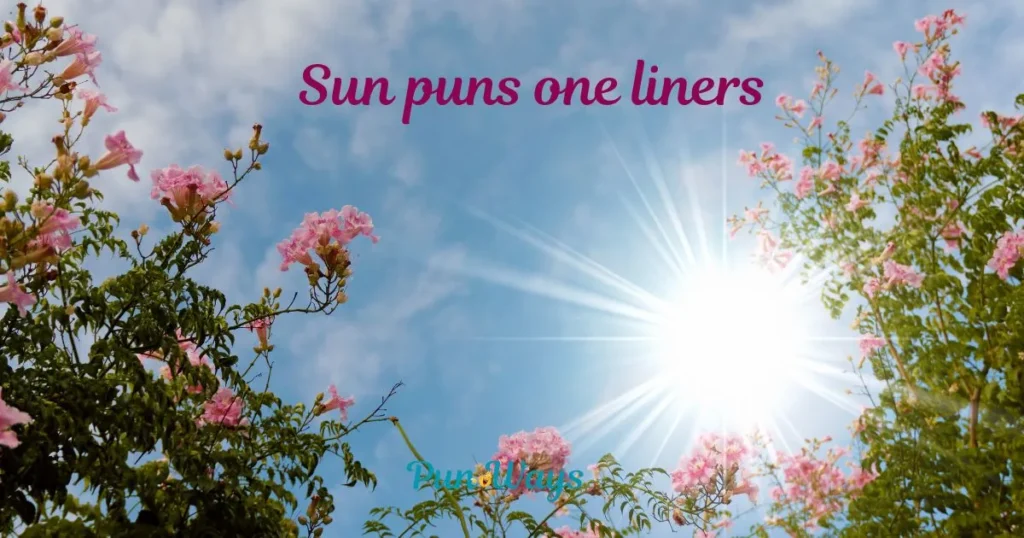 Sun Puns One Liners