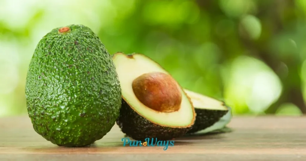 Avocado Puns For Kids