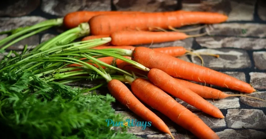 Carrot Puns
