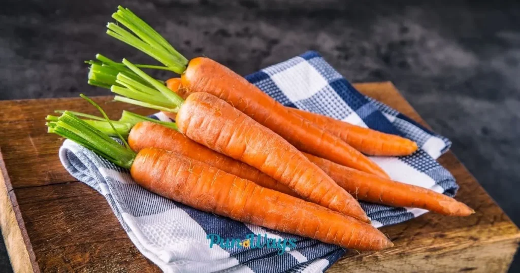 Carrot Puns Captions