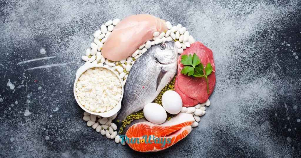 Funny Protein One Liner Jokes