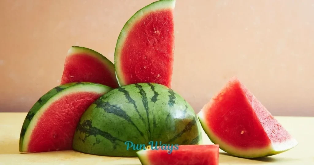 Watermelon Puns
