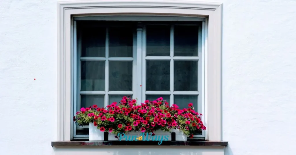 Window Jokes And Puns For Elders