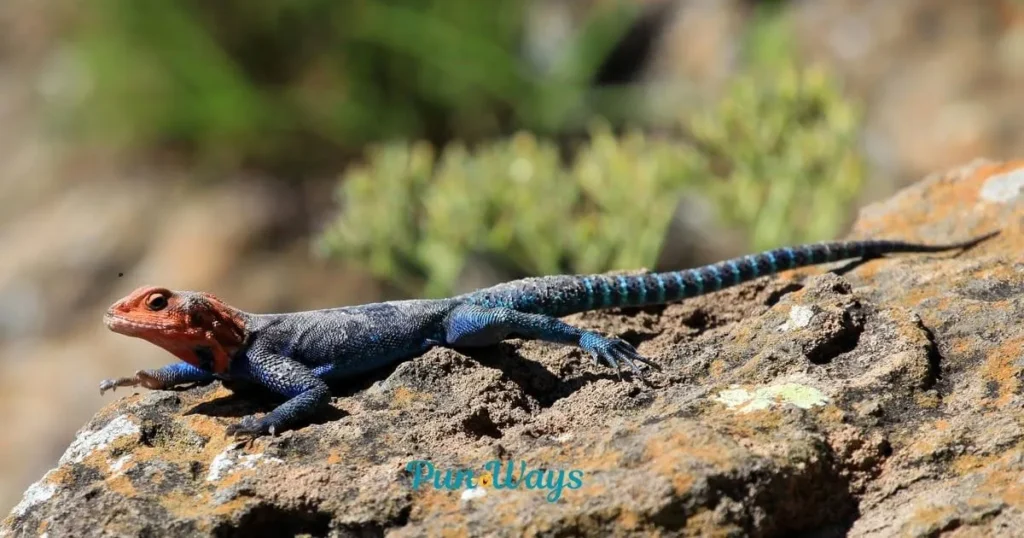 Best Lizard Wordplay