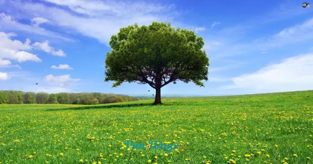 Bonus Tree Humor