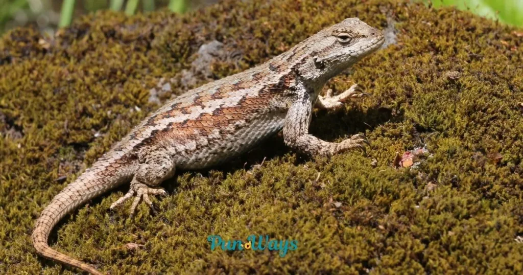 Cute Lizard Puns