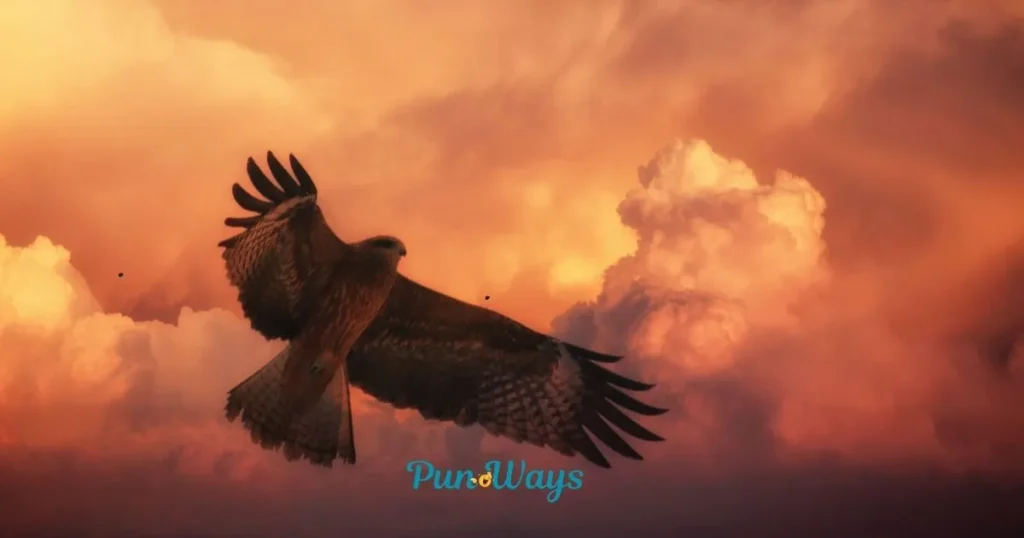 Hawk Jokes For Kids