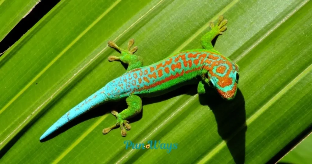 Lizard Puns