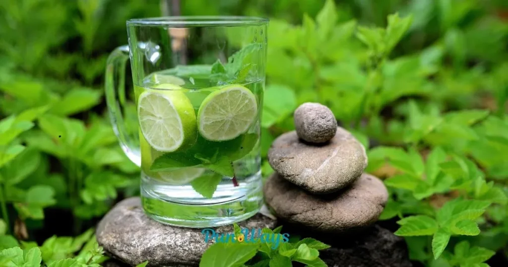 Minty Fresh Puns For Food Lovers