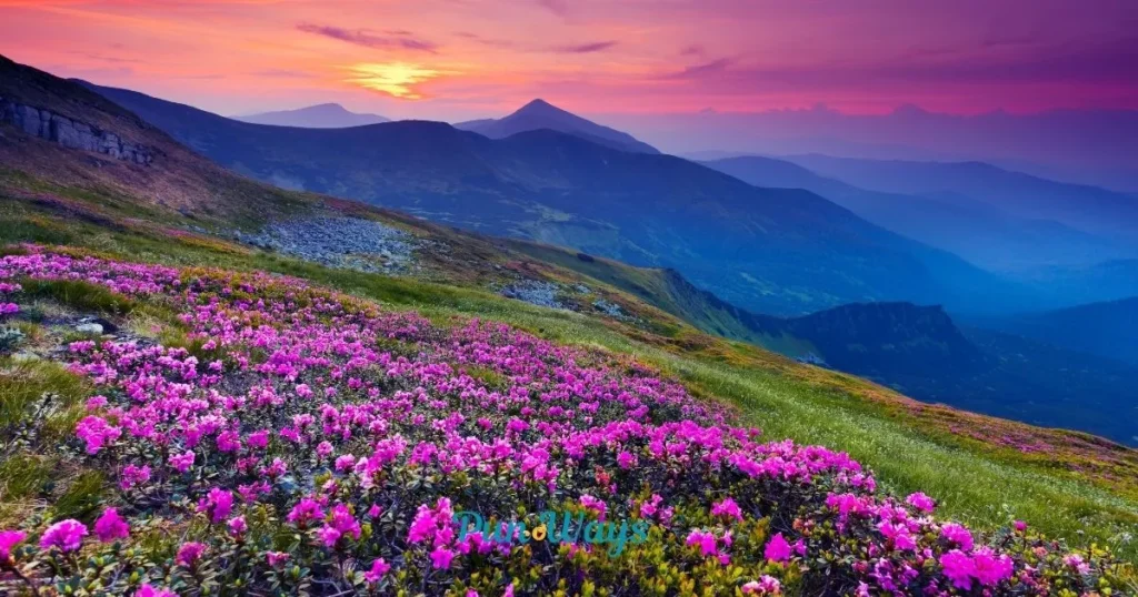 Mountain Puns Reddit