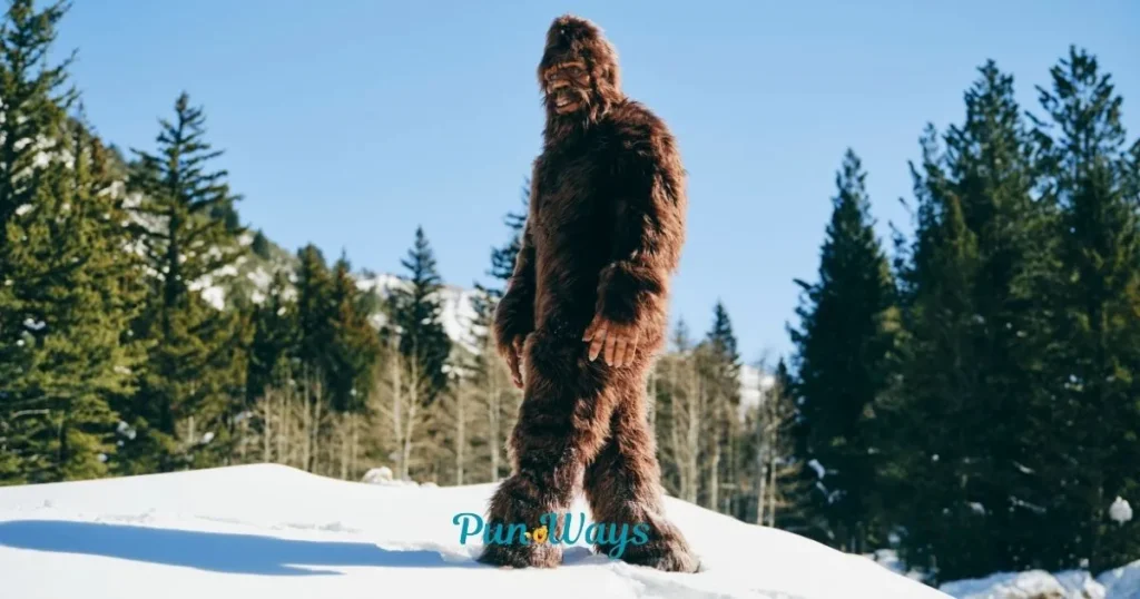 Pictures Of Bigfoot
