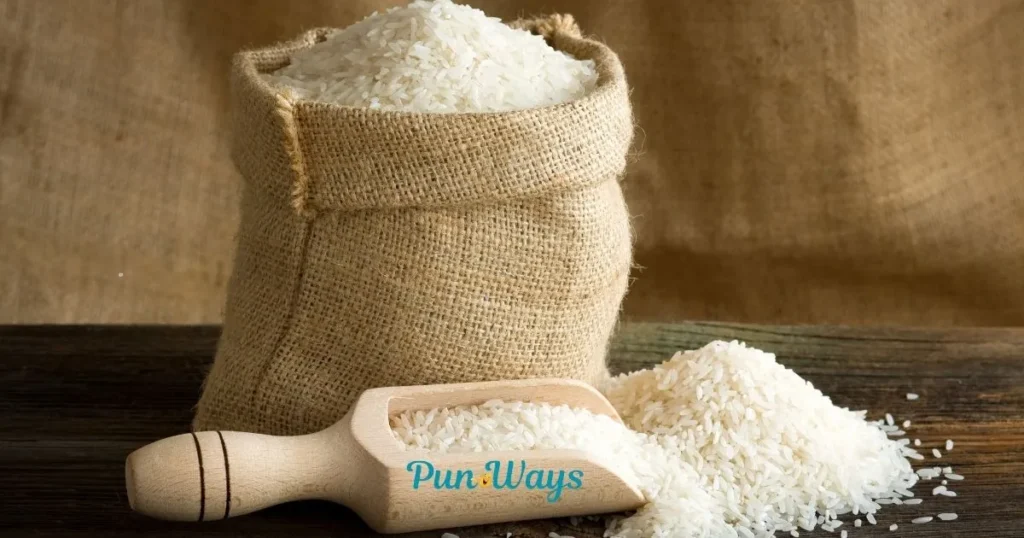 Rice Puns Dirty