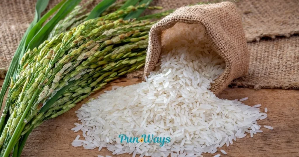 Rice Puns For Social Media