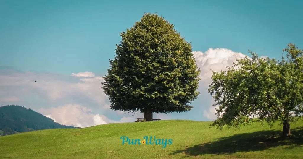 Tree Branch Puns