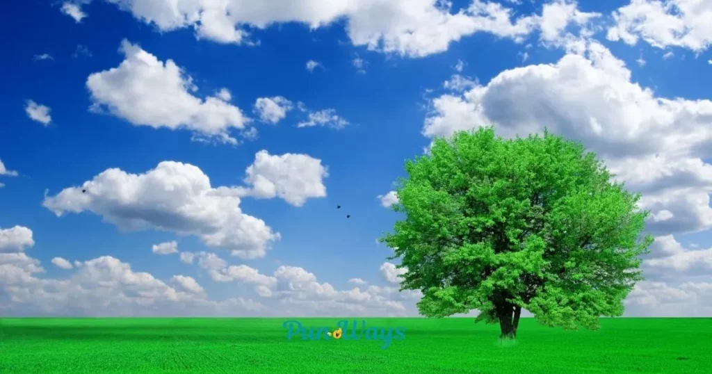 Tree Pun Quotes