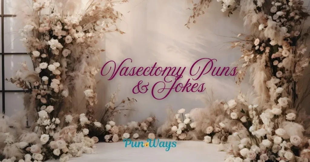 Vasectomy Puns