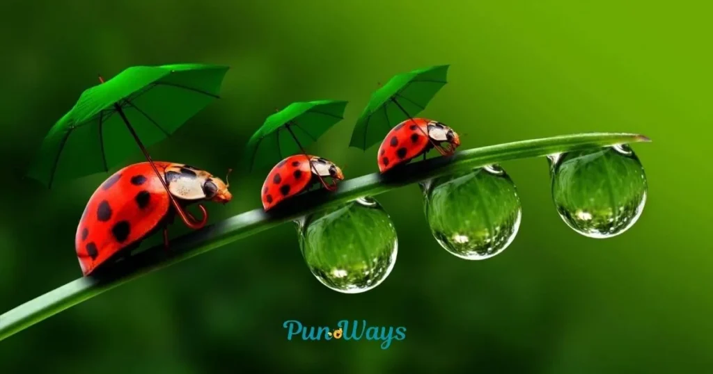 Bug Puns
