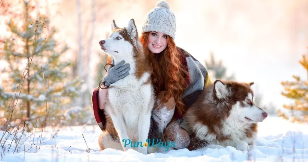 Dog Winter Puns