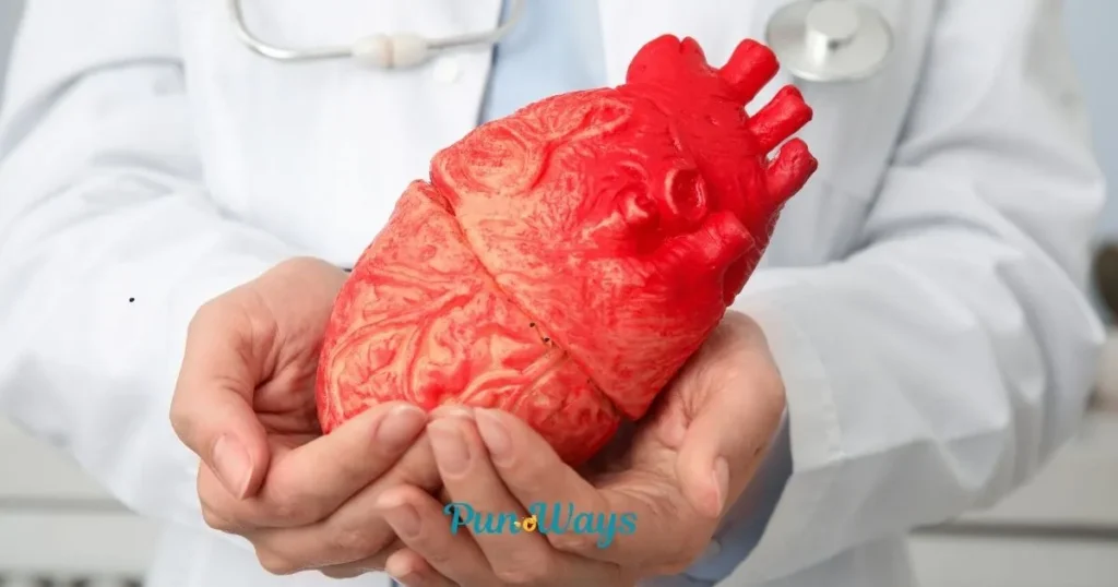Funny Cardiology Puns