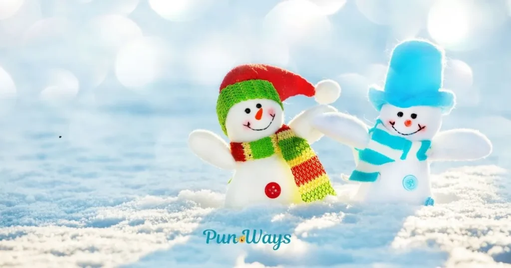 Funny Snowman Puns